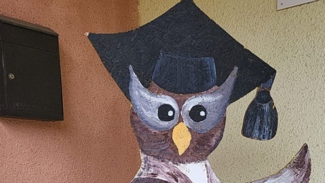 Pūce