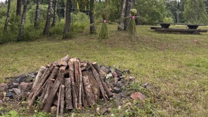 Sakrauta ugunskura malka pļavā pie bērziem un svētku rotājumiem