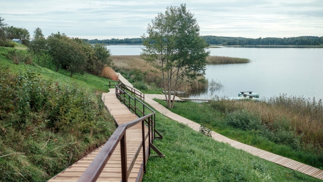 Koka laipa nogāzē ar skatu uz ezeru