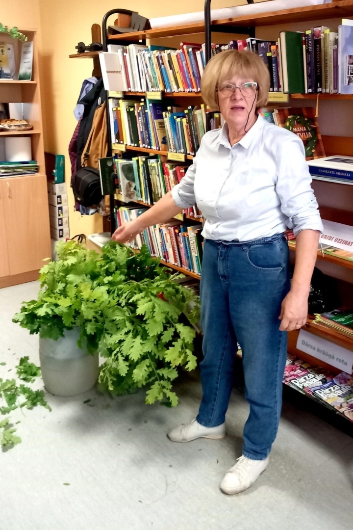 Vainaga siešana bibliotēkā