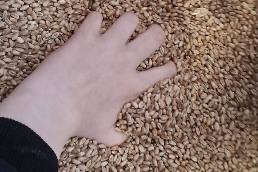 Roka graudos tuvplānā