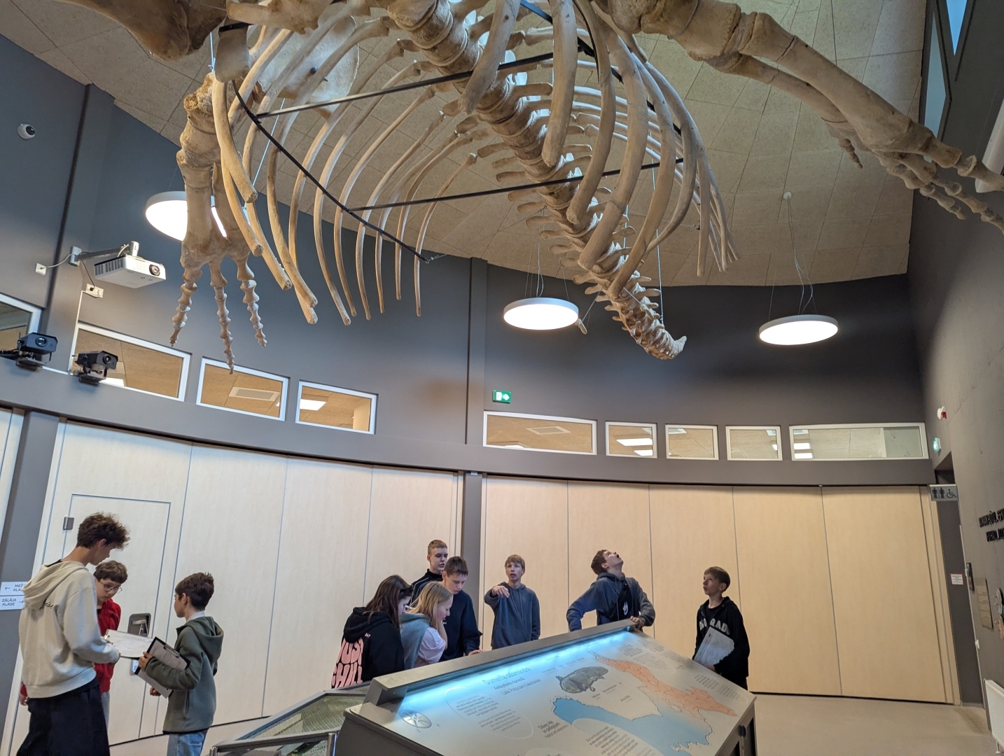 Skolēni muzejā apskata vaļa skeletu