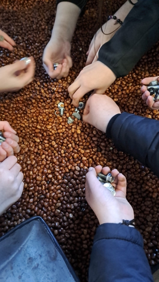 Rokas meklē metāla detaļas pupās