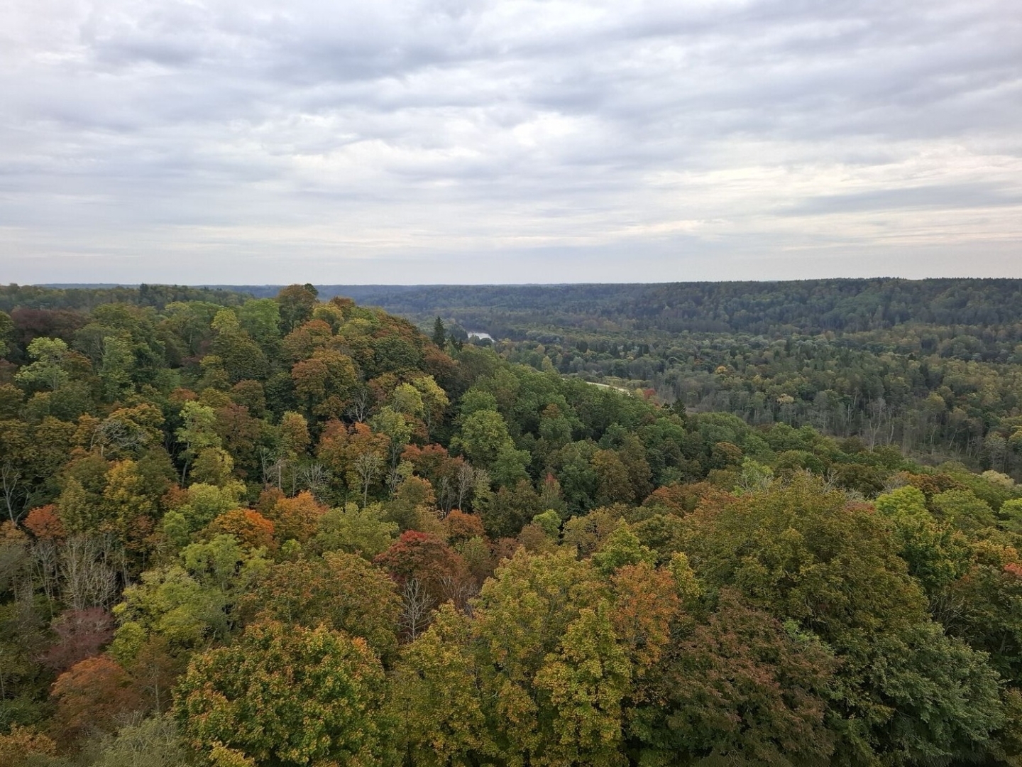 Rudens ainava ar krāsainiem kokiem