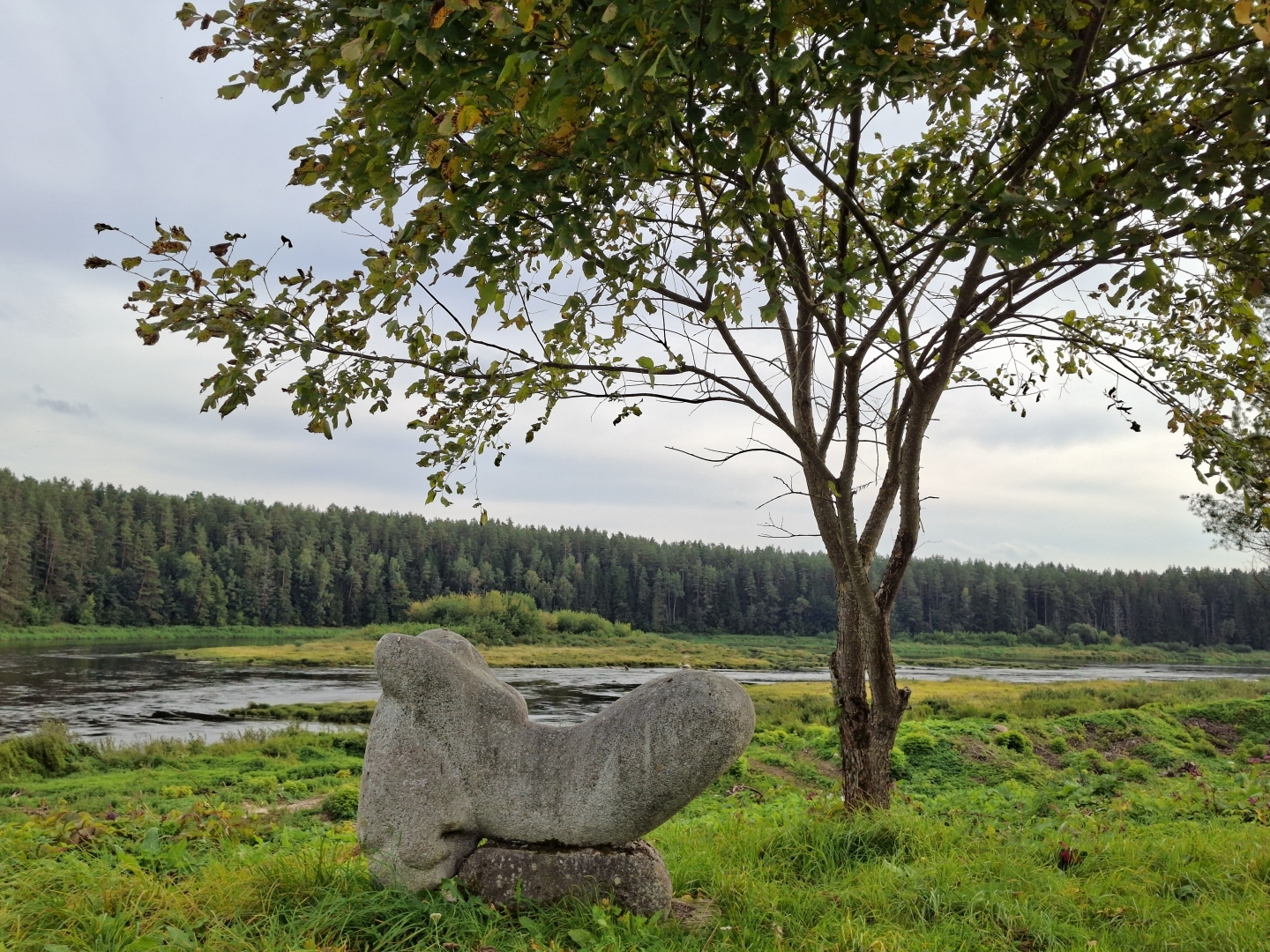 Akmens skulptūra Daugavas krastā pie koka