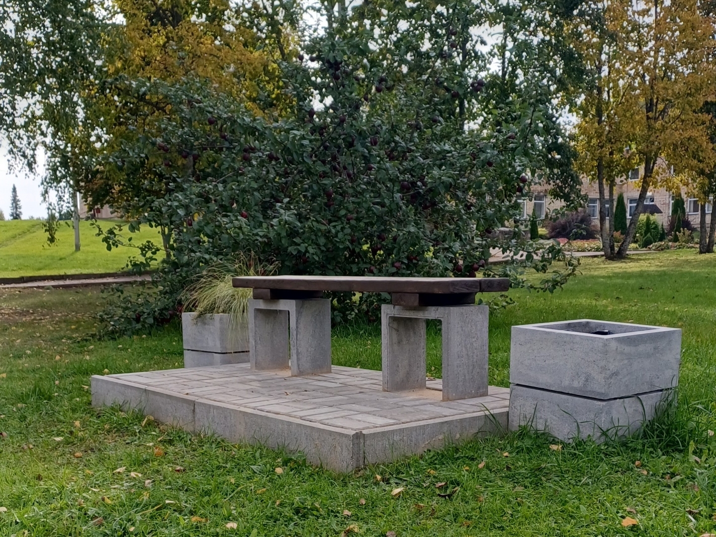 Āra soliņš ar galdu, kas ierīkots bruģētā atpūtas vietā pie ābeles