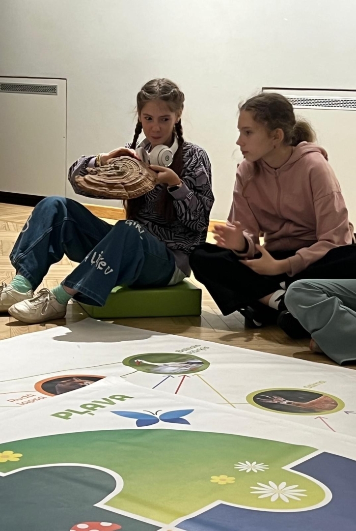 Skolniece aplūko lielu koksnes piepi, bet blakus redzama ekosistēmas shēma
