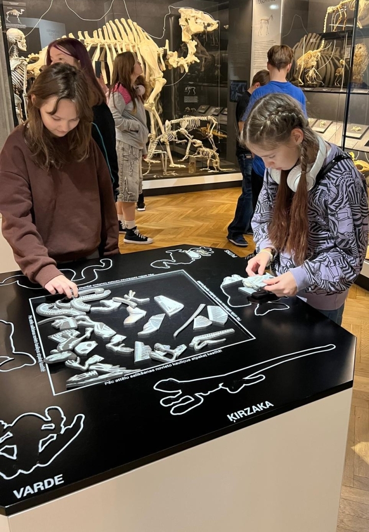Skolēni pēta dzīvnieku skeletus un saliek to detaļas interaktīvā stendā