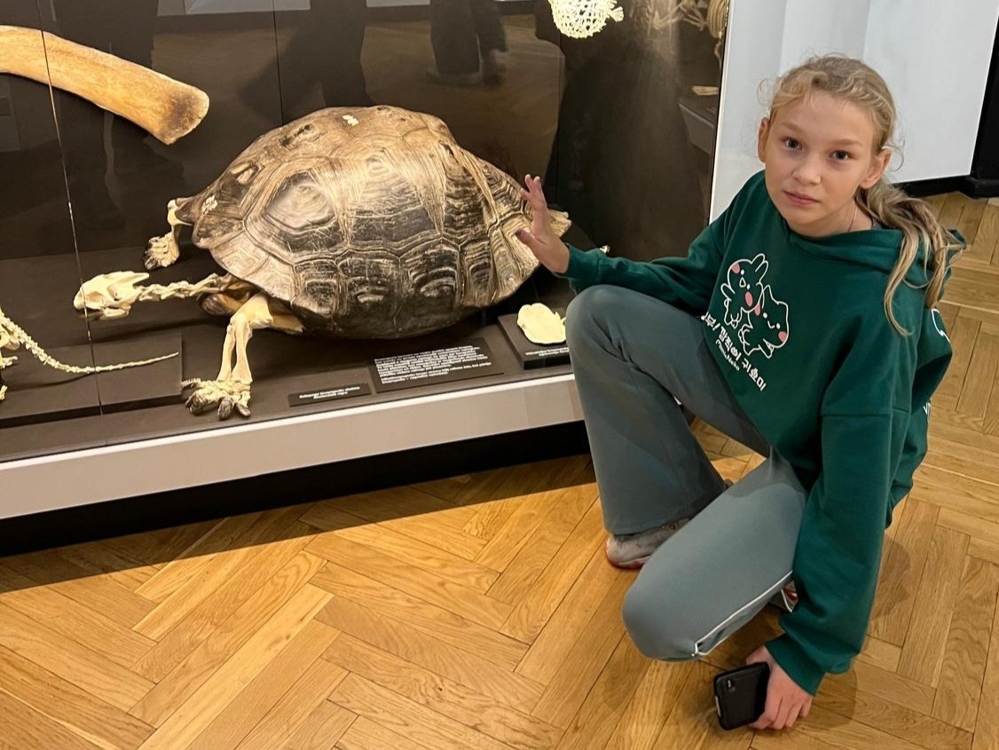 Skolniece pozē pie bruņurupuča skeleta muzeja ekspozīcijā