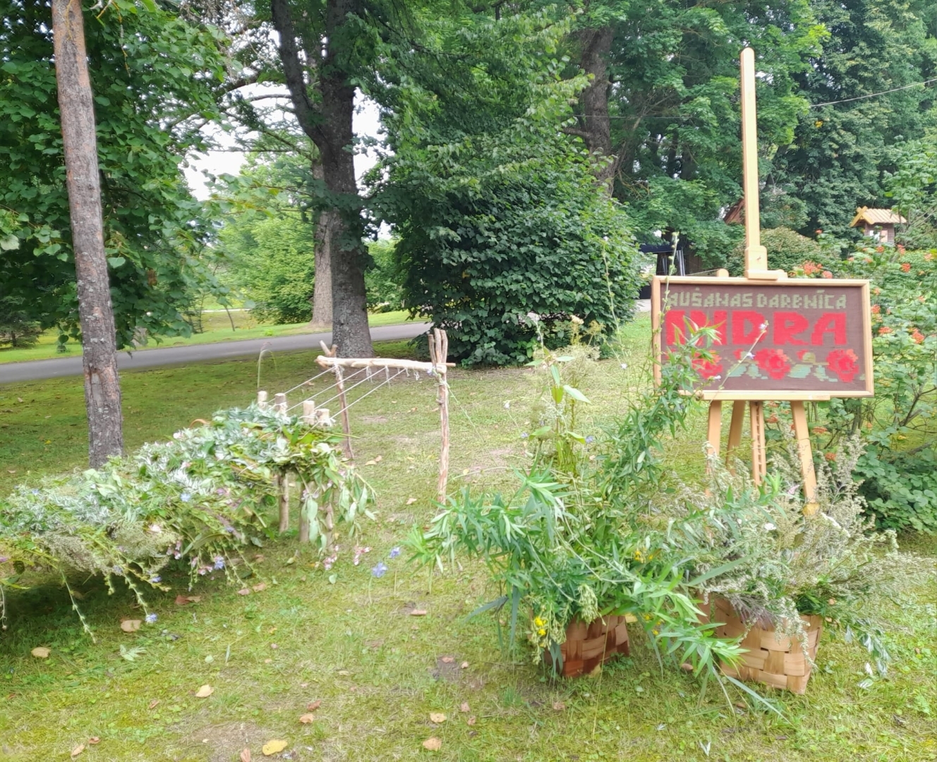 Augi un ziedi pie norādes "Aušanas darbnīca Indra"
