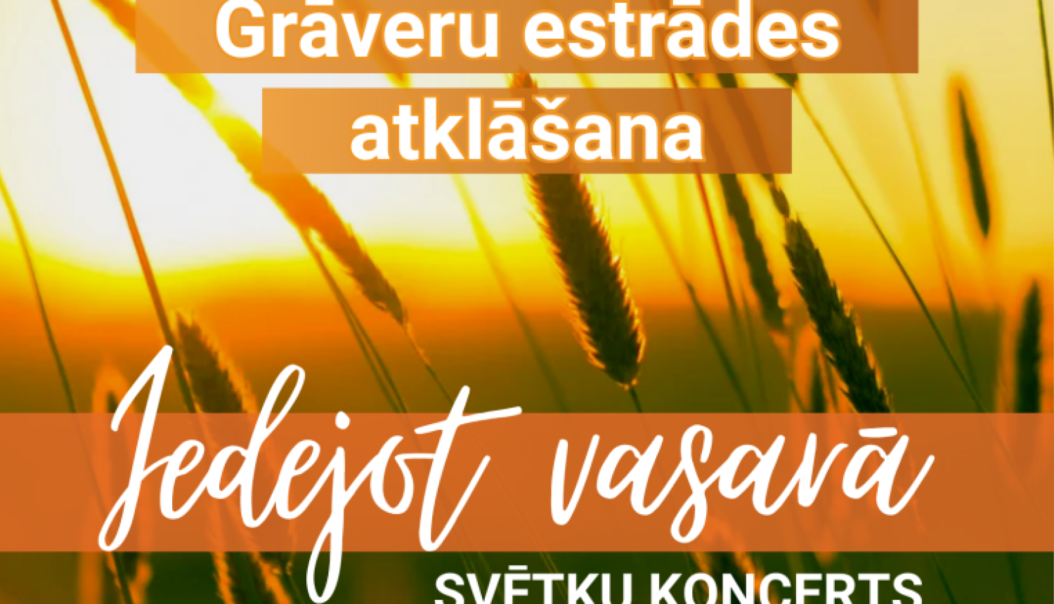 Saulrieta un pļavas zāļu fons. Pasākuma afiša