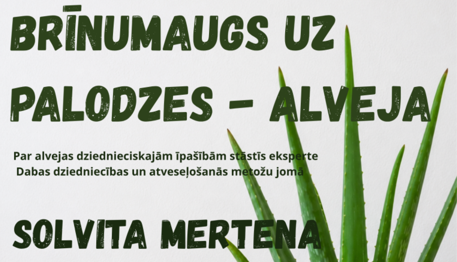 Alveja podiņā uz galda. Pasākuma afiša
