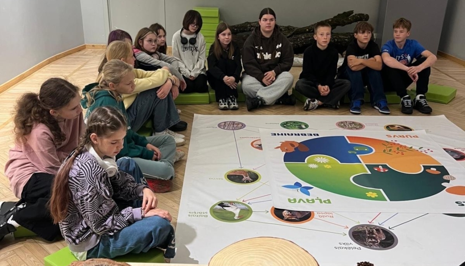 Skolēni muzejā iepazīst dabas materiālus un pēta attēlu ar ekosistēmas barības ķēdēm