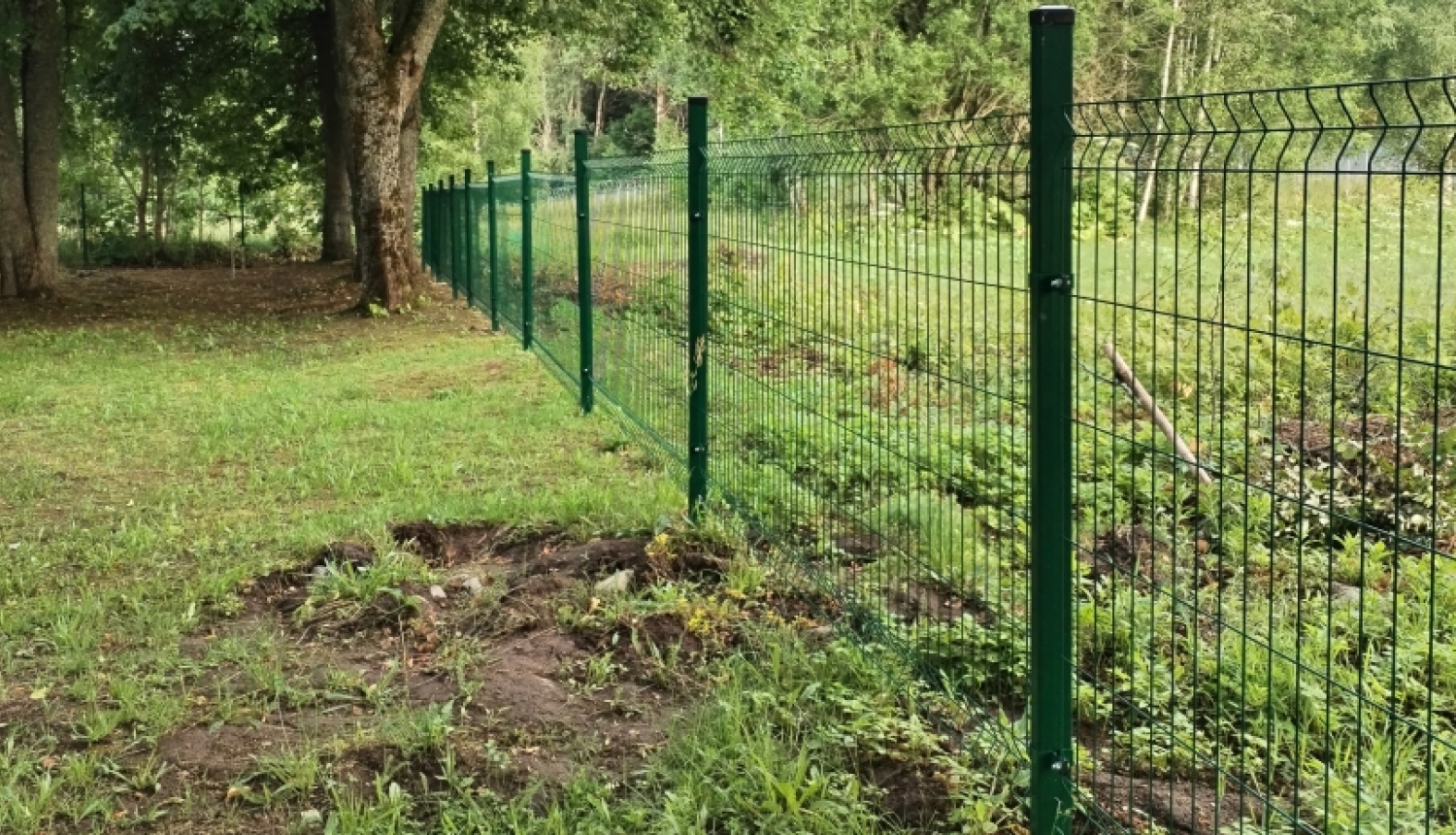 Zaļš metāla žogs gar mežainu, zālainu teritoriju