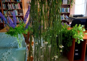 Jāņu zāļu dekors bibliotēkā