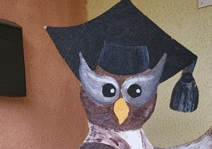Pūce