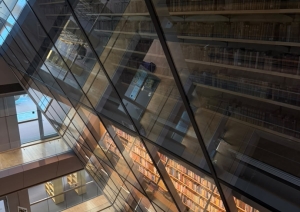 Skats uz bibliotēkas daudzstāvu grāmatu plauktiem