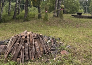 Sakrauta ugunskura malka pļavā pie bērziem un svētku rotājumiem